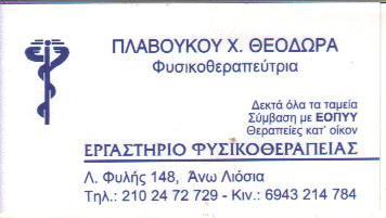 ΕΡΓΑΣΤΗΡΙΟ ΦΥΣΙΚΟΘΕΡΑΠΕΙΑΣ ΦΥΣΙΚΟΘΕΡΑΠΕΥΤΡΙΑ ΦΥΣΙΚΟΘΕΡΑΠΕΥΤΕΣ ΑΝΩ ΛΙΟΣΙΑ ΠΛΑΒΟΥΚΟΥ ΘΕΟΔΩΡΑ 